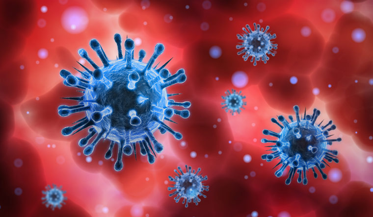 Истражување: Повозрасните лица имаат поголема шанса за повторно заразување со коронавирусот