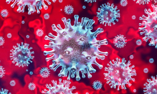 Најнов вид на коронавирус откриен во Франција