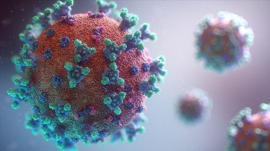 35 лица ја загубија битката со коронавирусот, најмладиот пациент на 39 години
