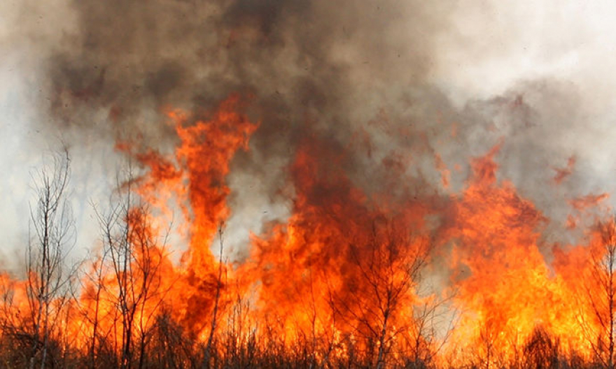 Пожар во Нов Дојран, гори сува вегетација