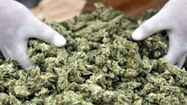 Над половина килограм марихуана пронајдени во автомобил, истрага против едно лице