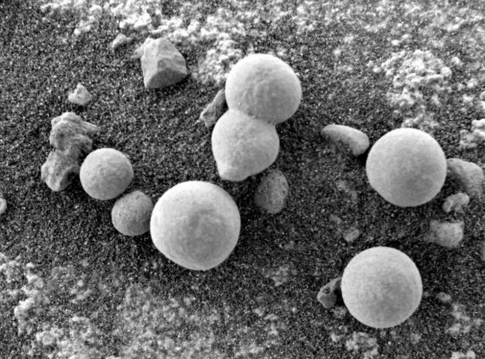 Научници веруваат дека овие фотографии покажуваат печурки на Марс – и доказ за живот
