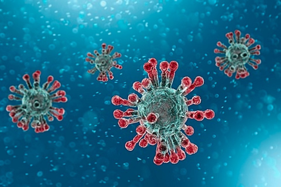 Нови 19 случаи на коронавирус, нема починати лица