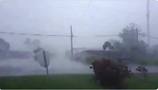 (ВИДЕО) Бурата Елса ја покоси Куба
