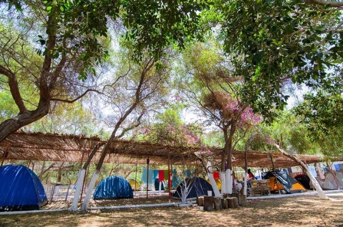 Корона кампови во Грција: Заразени најмалку 40 децa