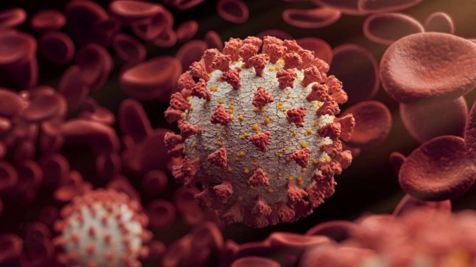 Американските разузнавачи не веруваат дека коронавирусот е биолошко оружје