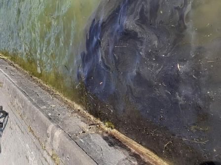 Непозната течност излеана во Охридското езеро
