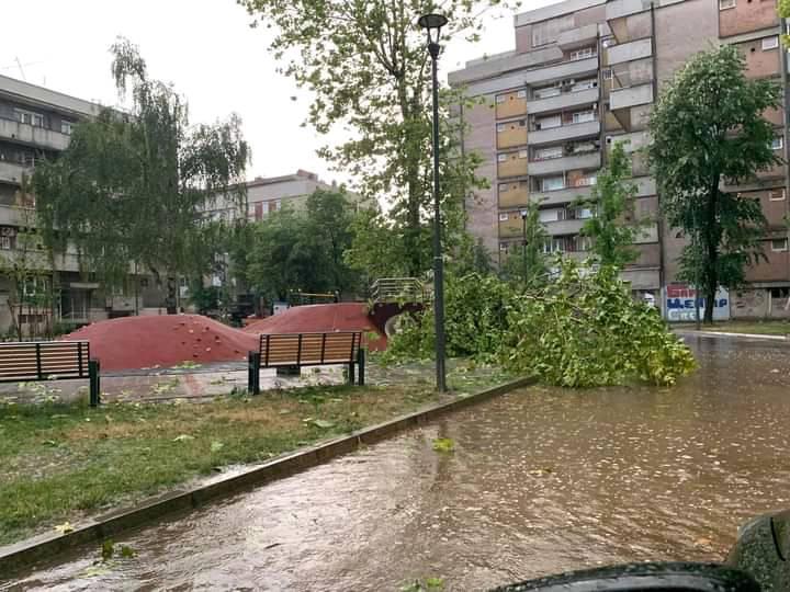 (ФОТО+ВИДЕО) Силно невреме во Србија, откорнати дрва