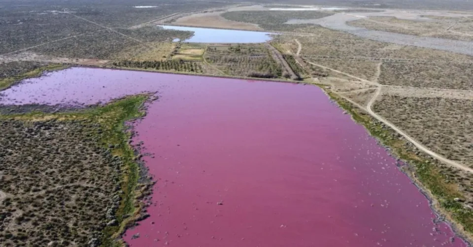 Две езера во Аргентина мистериозно стана розови
