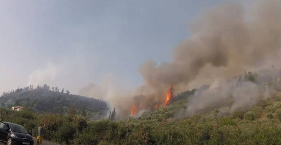 Голем пожар на Крит, евакуирани камперите во близина на плажата Превели