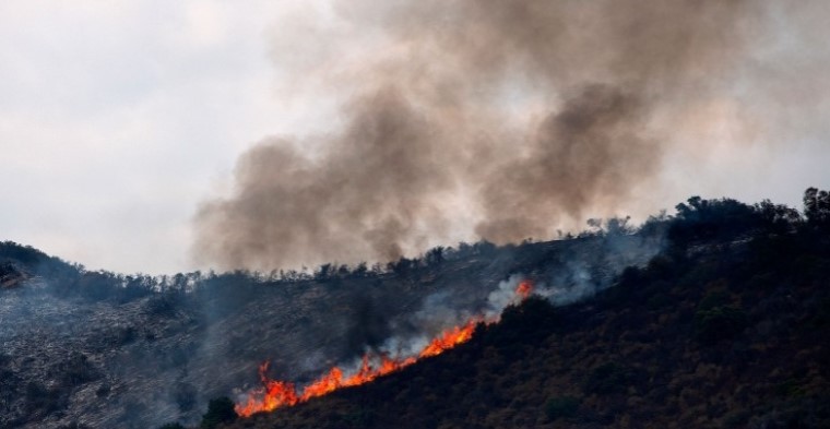 Гори Шара: Изгоре шумска површина од 7 декари