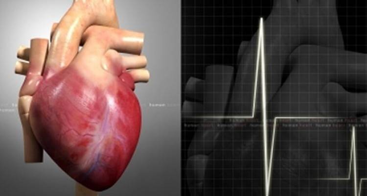 Француската лабораторија „Карма“ првпат продаде вештачко срце