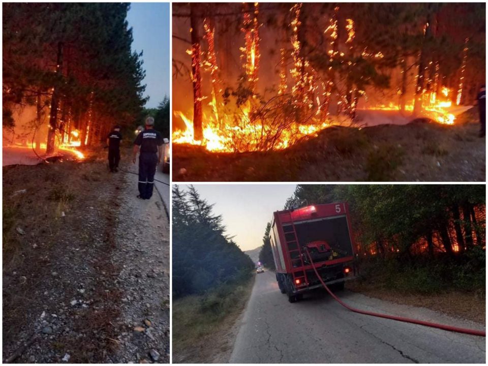 Во еден ден локализирани 16 пожари на територија на Град Скопје