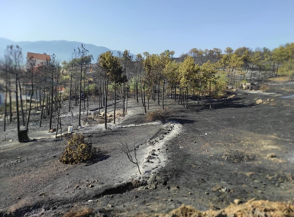 (ФОТОГАЛЕРИЈА) Како изгледа Кочани утрово откако пожарот е локализиран?