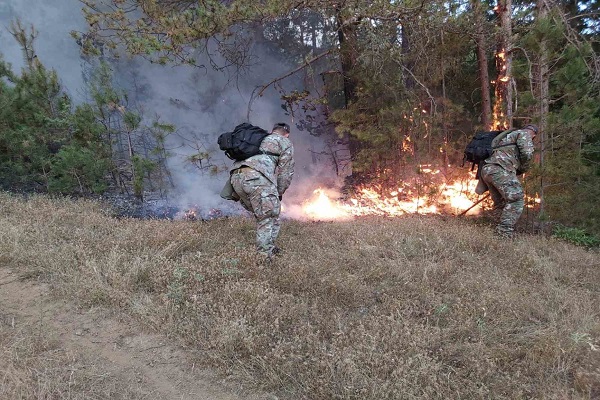 Активни пожари низ Македонија: Уште гори кај селата Дивље и Крушје, локализирани неколку пожари