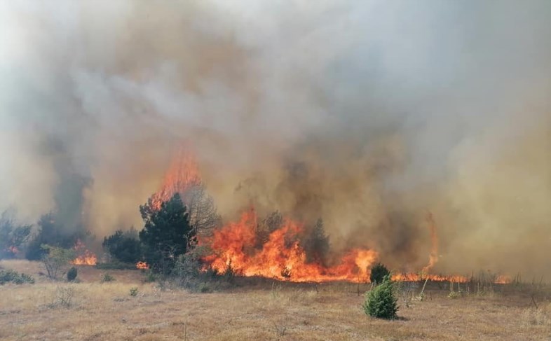 ЦУК: Активни седум пожари, екипите се справуваат на терен