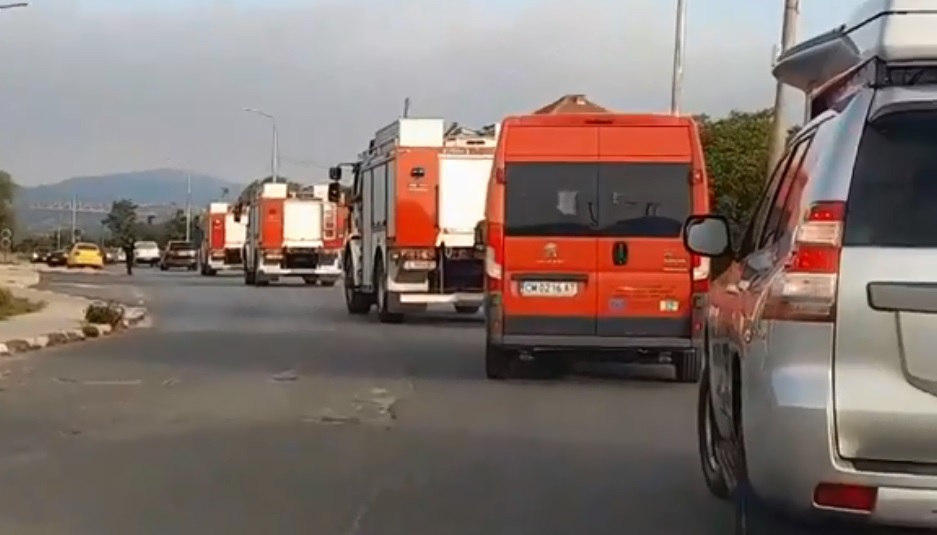 (ВИДЕО) Помошта од Бугарија на пат кон Пехчево