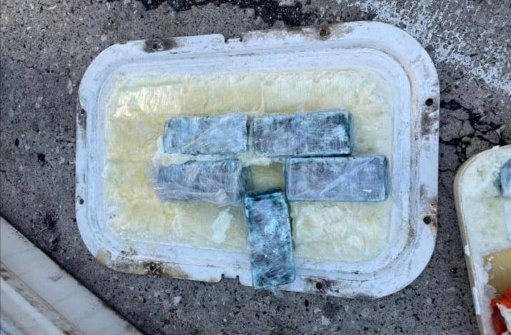 Во Драч во контејнер со морска храна откриени седум килограми кокаин