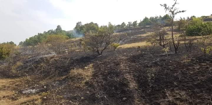 (ФОТО) Изгаснат пожарот кај Кучково