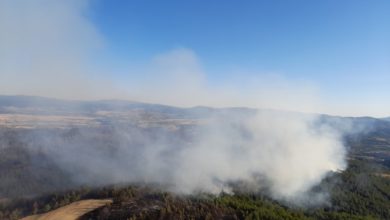 Експерти за пожари од Франција на увид на пожарот кај Ласкарци