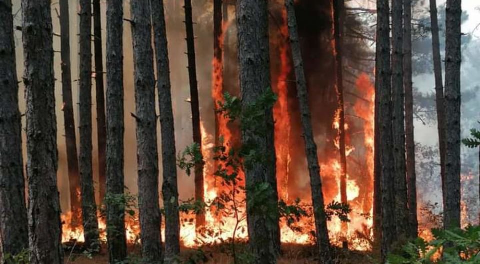 Активни шест пожари, во Скопско, Прилепско, Струмичко, Беровско и Центар Жупа