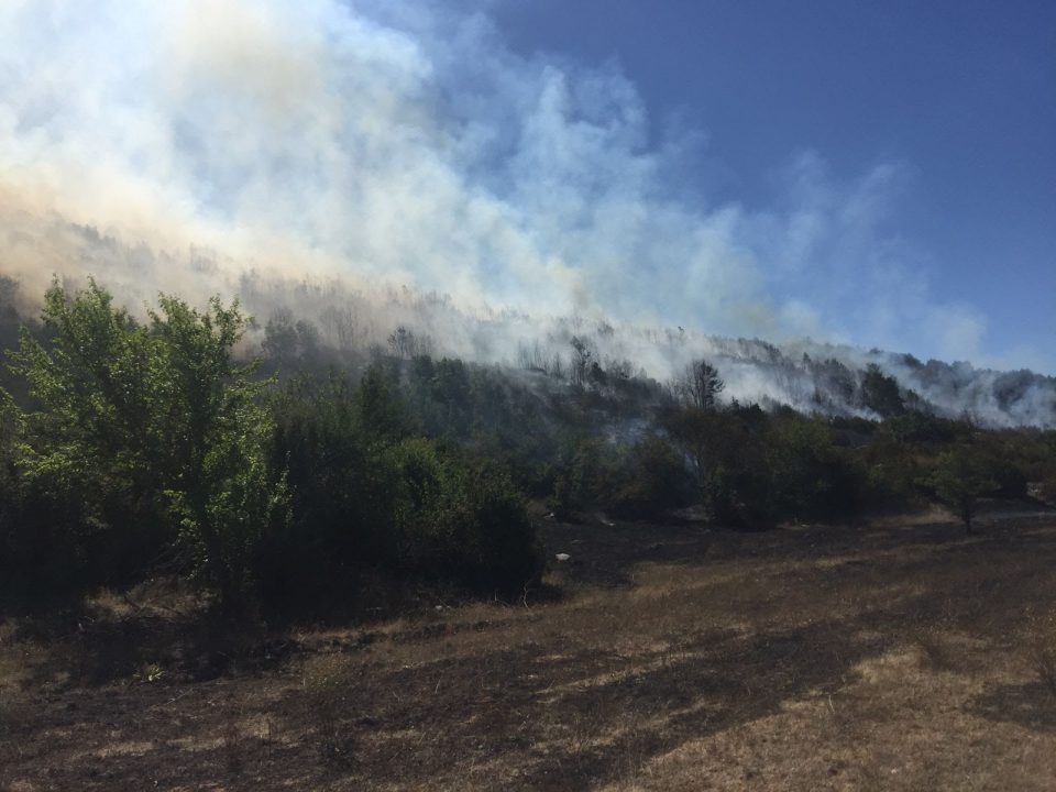 Голем пожар во националниот парк „Преспа“ кај Пустец
