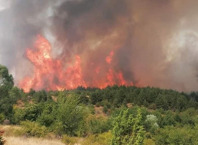 Активни четири пожари низ Македонија, се уште гори и во Општина Сарај
