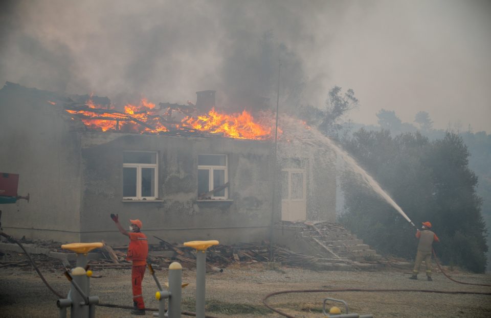 Ердоган: Под контрола ставени 202 од вкупно 214 шумски пожари во 46 области низ Турција