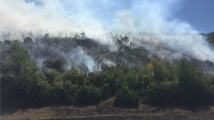 Веќе трет ден голем пожар кај националниот парк „Преспа“, од денеска се вклучуваат повеќе пожарникари