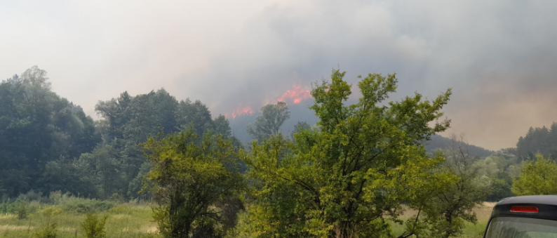 Локализиран пожарот во Порече, нема опасност за селото Девич