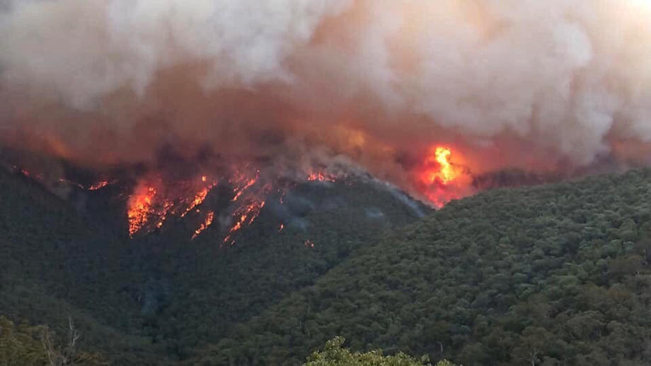 Активни пожари во Скопско и Демиркаписко, локализирни во Дивље и Виница