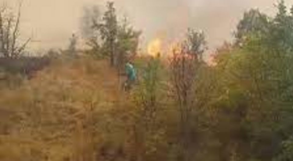 Изгаснат пожар во ТИРЗ Тетово, изгоре трева и зеленило