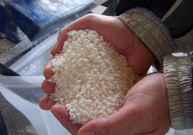 Оризопроизводителите во понеделник на генерален штрајк ако не им се исполнат барањата