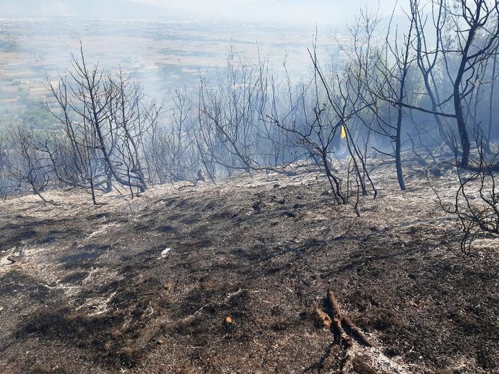 Изгаснат пожарот над селото Вељуса