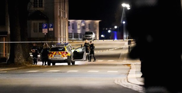 Петкратно убиство во Норвешка, осомничен 37-годишен Данец