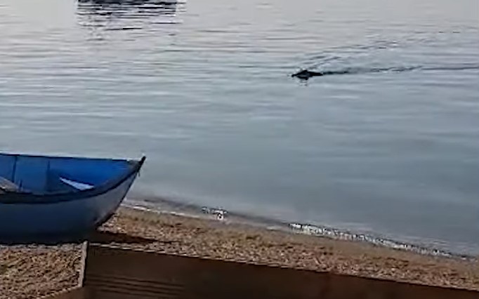 Бомба извадена од Охридско езеро кај Трпејца