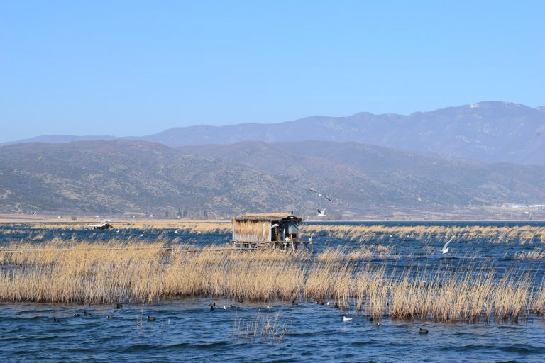 Зголемено нивото на Дојранското Езеро, повеќе реки под просекот за декември