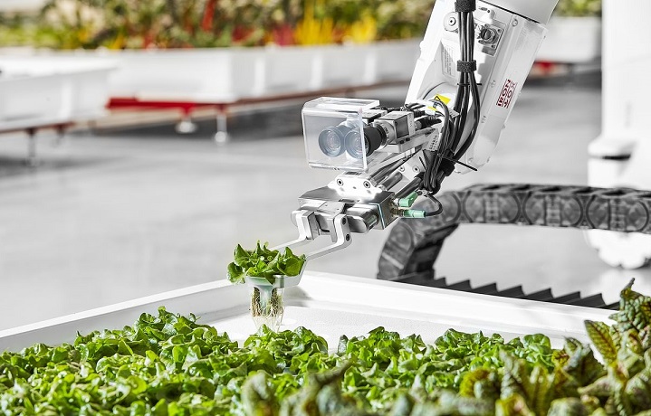 Роботи-земјоделци: Револуционерен проект за одржливо земјоделство