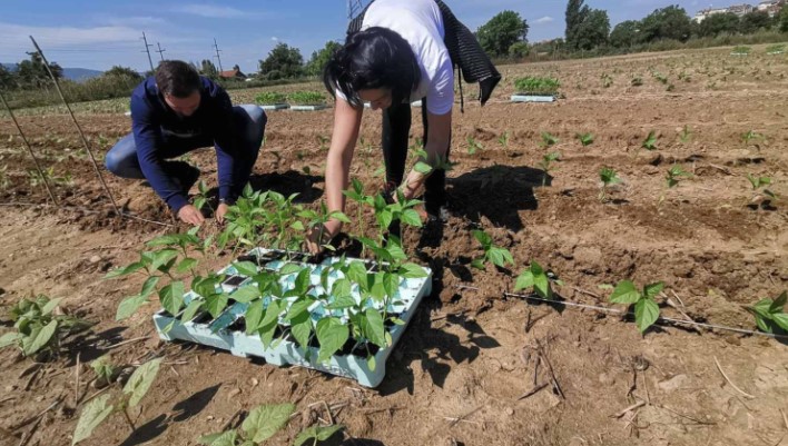 ВМРО-ДПМНЕ дава поддршка на барањата на земјоделците, бара владата веднаш да им излезе во пресрет