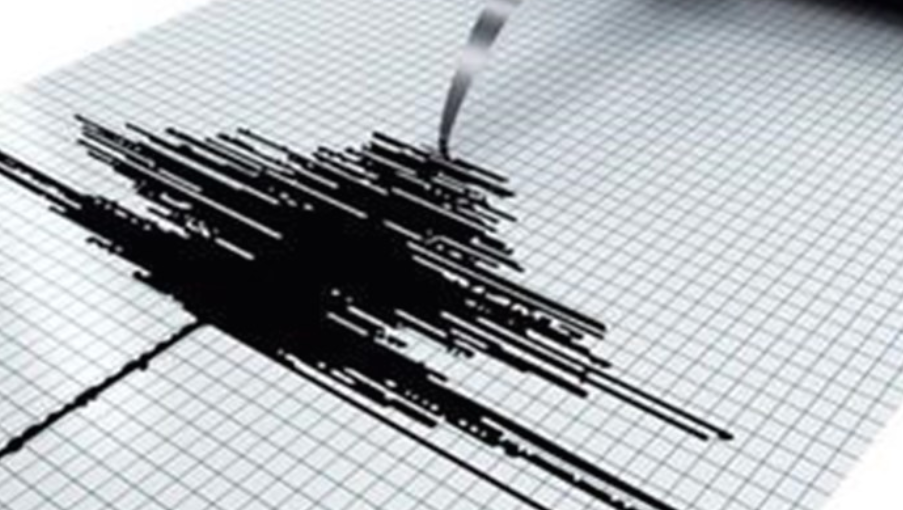 Земјотрес утринава го стресе охридскиот регион