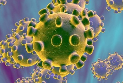 Откриено колку антитела остануваат во телото по инфекција со ковид-19