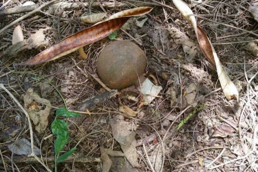 Тетовчанец пронашол рачни бомби од Втора светска војна