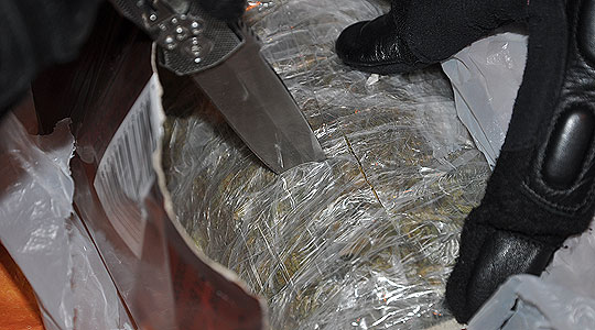 Полицијата пронајде огромно количество на марихуана во дом на 28. годишен скопјанец