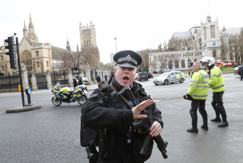 Полицијата во Лондон уапси 124 демонстранти
