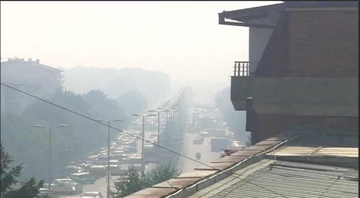 Димовска: Загадувањето на воздухот одговорно за 17-19% од смртните случаи во високо загадените области, потребни се итни мерки против загадувањето на воздухот