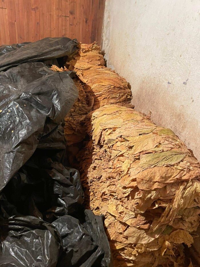АПСЕЊЕ ВО СКОПСКИ ЧАИР: Пронајден 1 тон тутун во нелегална импровизирана работилница (ФОТО)