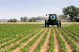 „Земјоделство не е само работа на нива“ – мала заинтересираност за студирање земјоделство