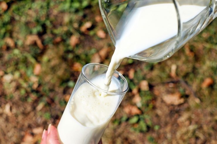 Привремено се укинуваат царински стапки за млеко и павлака
