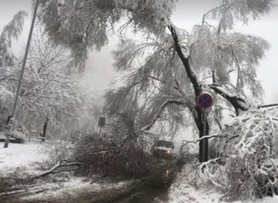 Србија под снег, проблеми со струја и греење, вонредна состојба во четири општини