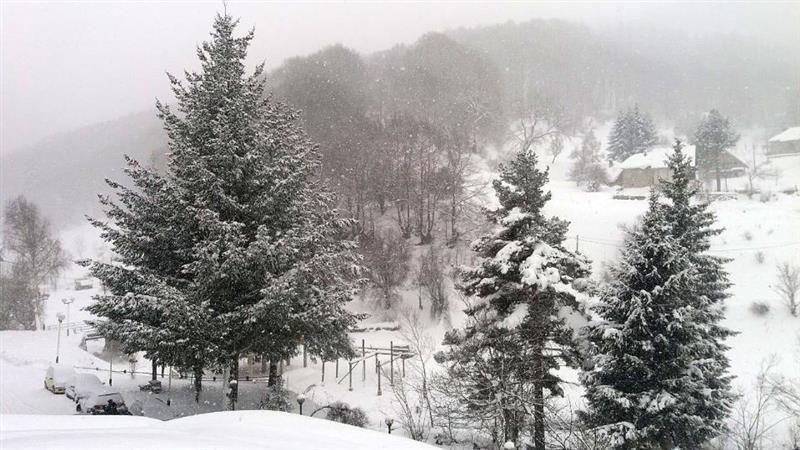 Врнежи од снег во реонот на Гостивар и Маврово